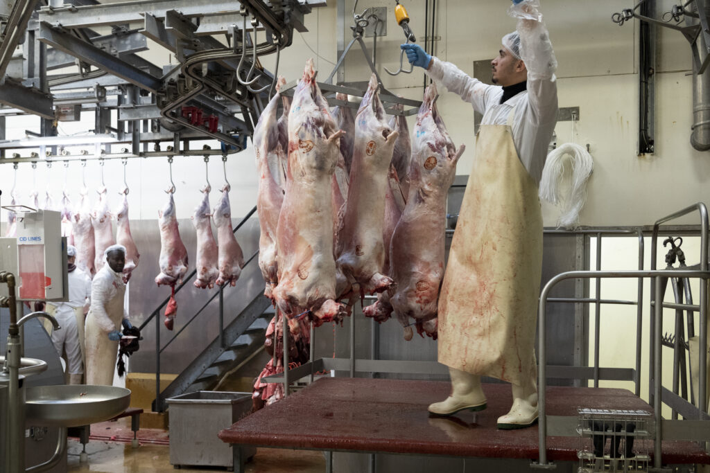 Abattoir 30