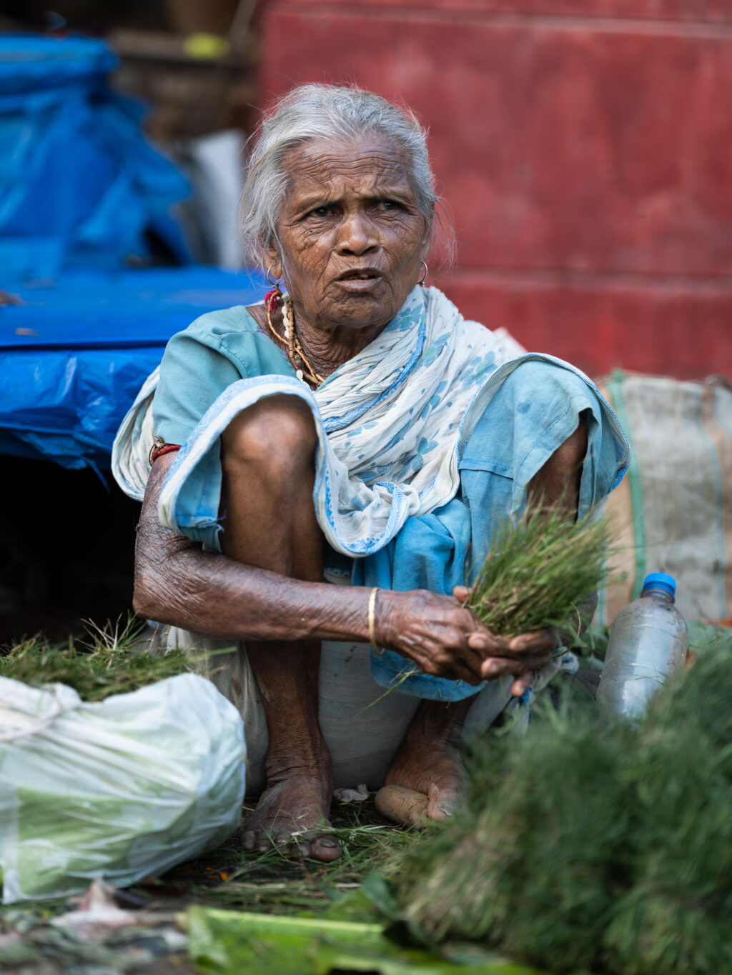 Kolkata Web 3767